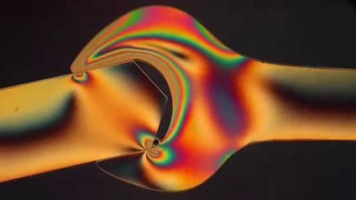 ¿ Y qué le pasó a los contactos?